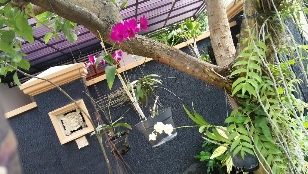 Roemah Canting Homestay Yogyakarta Dış mekan fotoğraf