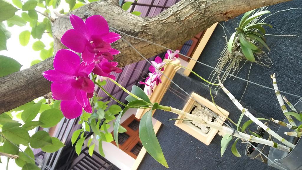 Roemah Canting Homestay Yogyakarta Dış mekan fotoğraf